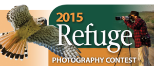 National Wildlife Refuge Association (NWRA) 2015 Wildlife Refuge Photo Contest. Photograph courtesy NWRA. Copyright NWRA.