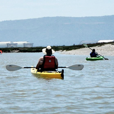 Sloughkeepers cleaning up Alviso Slough in their kayaks